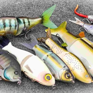 Swimbait