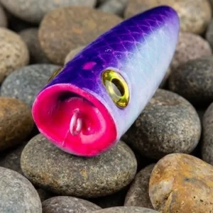 Taboo Popper Mouth Cannival Brenious