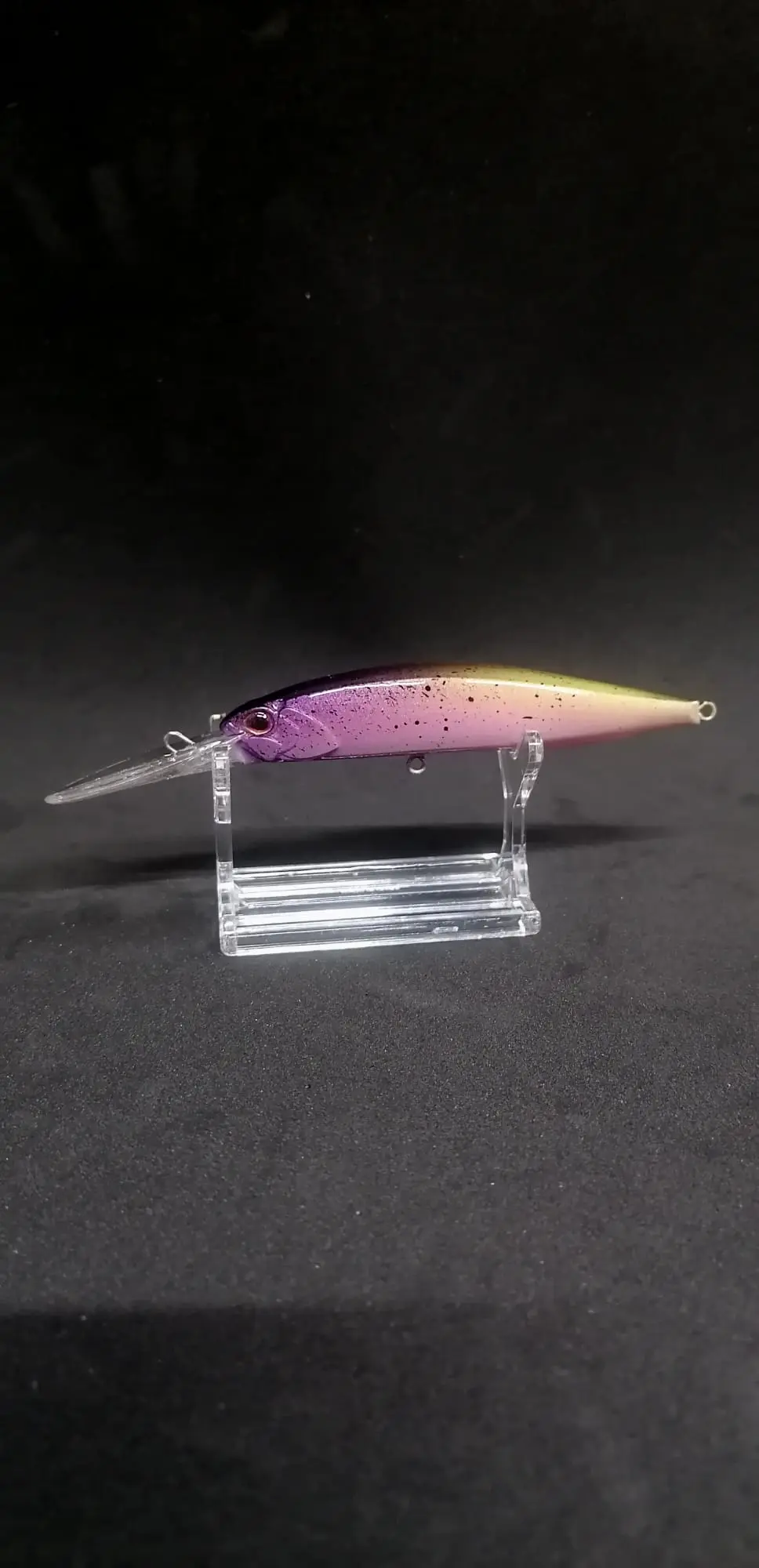 Taboo Jerkbait DR 100DR RAINBOW